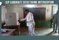 BJP Dayaldas Baghel worship EVM coconut polling station Chhattisgarh