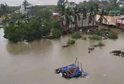 Livelihood Cyclone Gaja affected regions O Panneerselvam Tamil Nadu