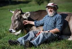 Switzerland referendum cows horns dignity of livestock Armin Capaul