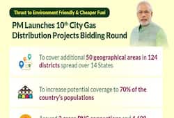 PM new scheme for gas distribution