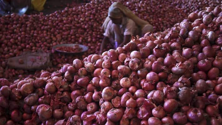 rain Effect Onion seeding Down Price May increase rain Effect Onion seeding Down Price May increase