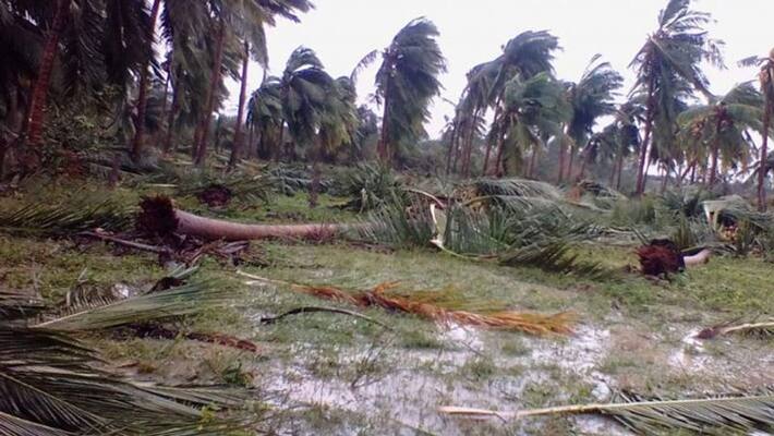 suicidal tendencies among farmers from gaja cyclone hit areas suicidal tendencies among farmers from gaja cyclone hit areas