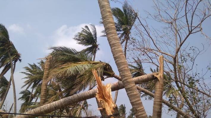 rain and cyclone alert on 15th dec rain and cyclone alert on 15th dec