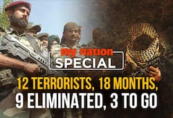 Top terrorist commanders eliminated Indian Army's Operation All Out