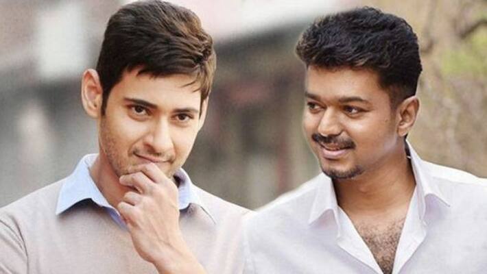 Actor vijay andu mahesh babu join together in one movie Actor vijay andu mahesh babu join together in one movie