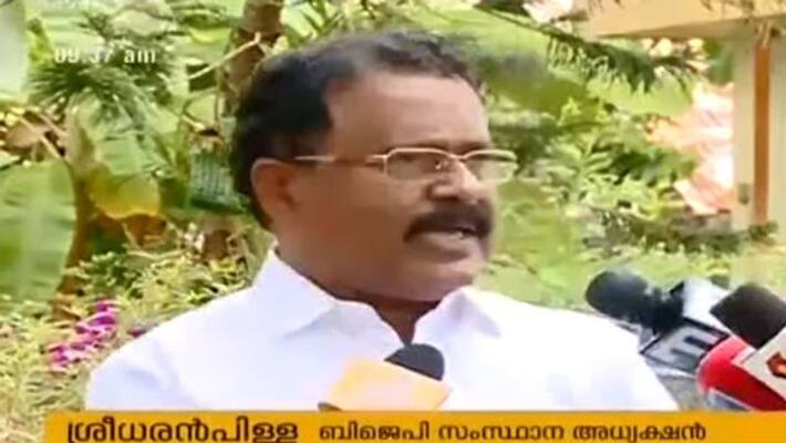 sreedharan pilla says bjp didnot stop protest in sabarimala issue sreedharan pilla says bjp didnot stop protest in sabarimala issue