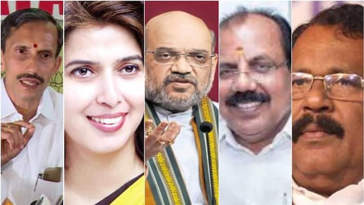 bjp will streghthen potest in sabarimala bjp will streghthen potest in sabarimala