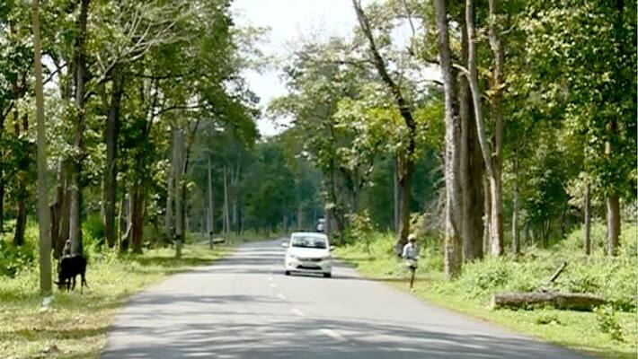 restrictions against journey through Bandipur forest may change restrictions against journey through Bandipur forest may change