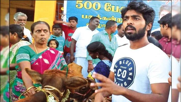G.V.Prakash gave cow to delta people G.V.Prakash gave cow to delta people