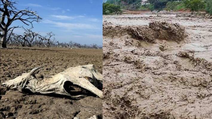 El nino change climate in 2019 El nino change climate in 2019