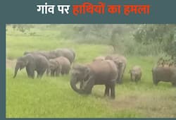 Elephants attack on villager