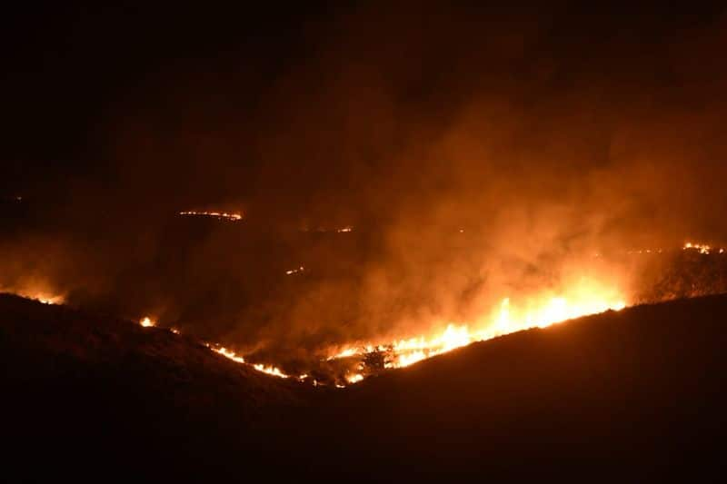 Chief fire officer of Mumbai Prabhat Rahangdale said, “Fire personnel are trying to put out the flames with ‘beaters’, or branches of trees used to create a fire break, as they have no access to fire appliances.”