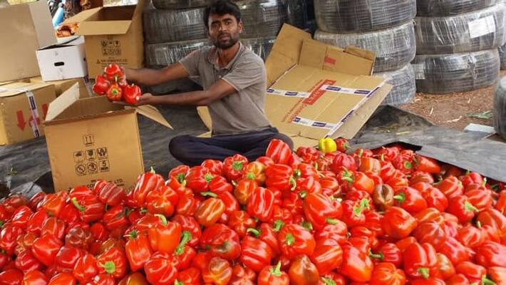 unemployed man vijay rao turned farming unemployed man vijay rao turned farming