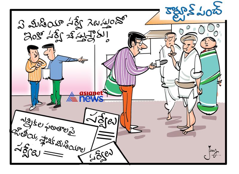 Surveys cartoon