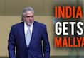 Modi govt catches another big fish UK court orders Vijay Mallya's extradition to India