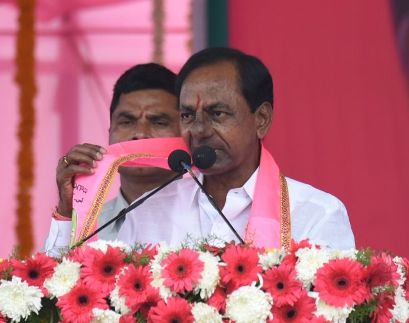 సింహం సింగిల్ గానే... (ఫొటోలు)