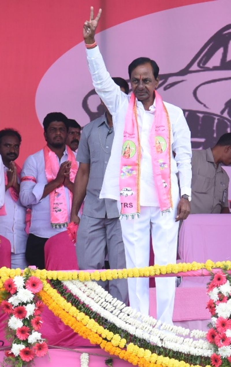 సింహం సింగిల్ గానే... (ఫొటోలు)