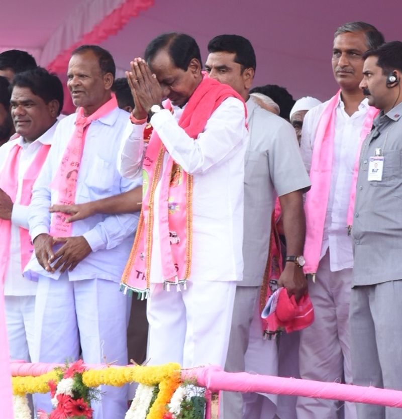 సింహం సింగిల్ గానే... (ఫొటోలు)
