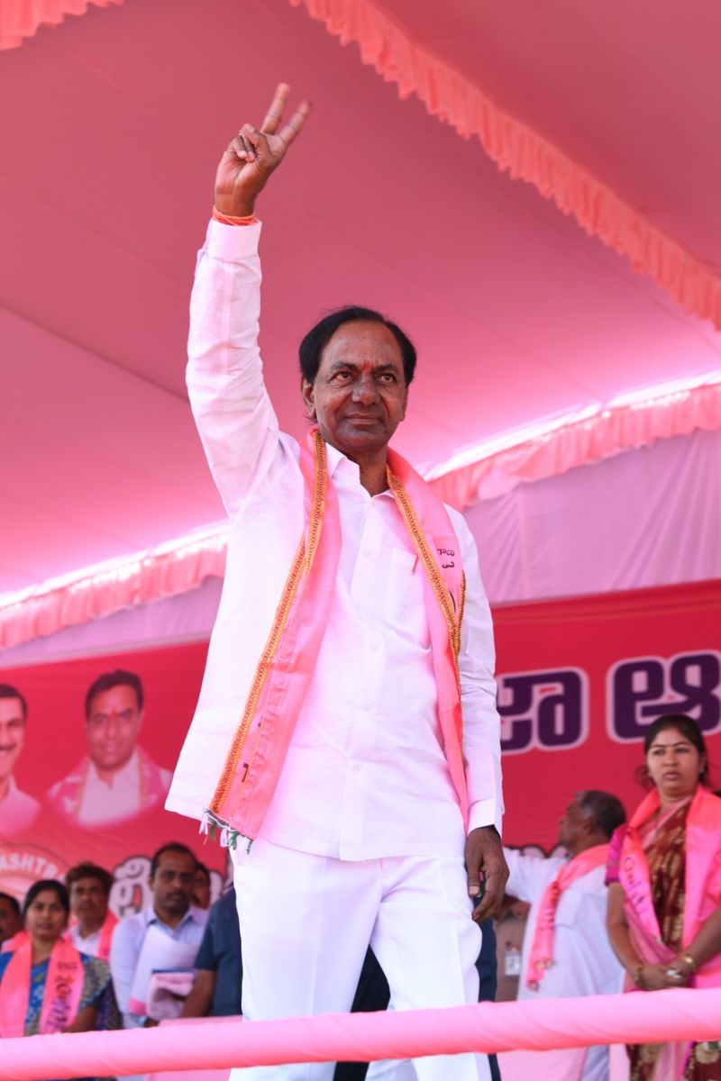 సింహం సింగిల్ గానే... (ఫొటోలు)
