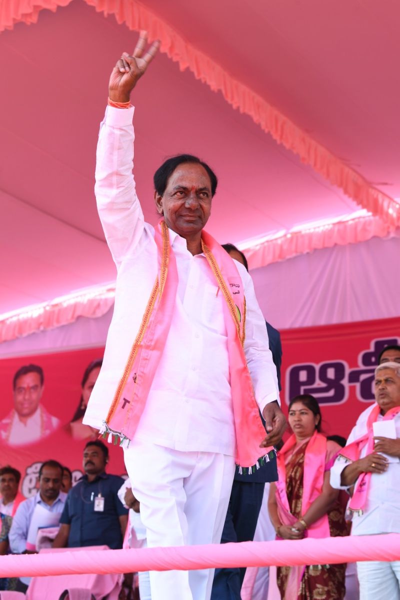 సింహం సింగిల్ గానే... (ఫొటోలు)