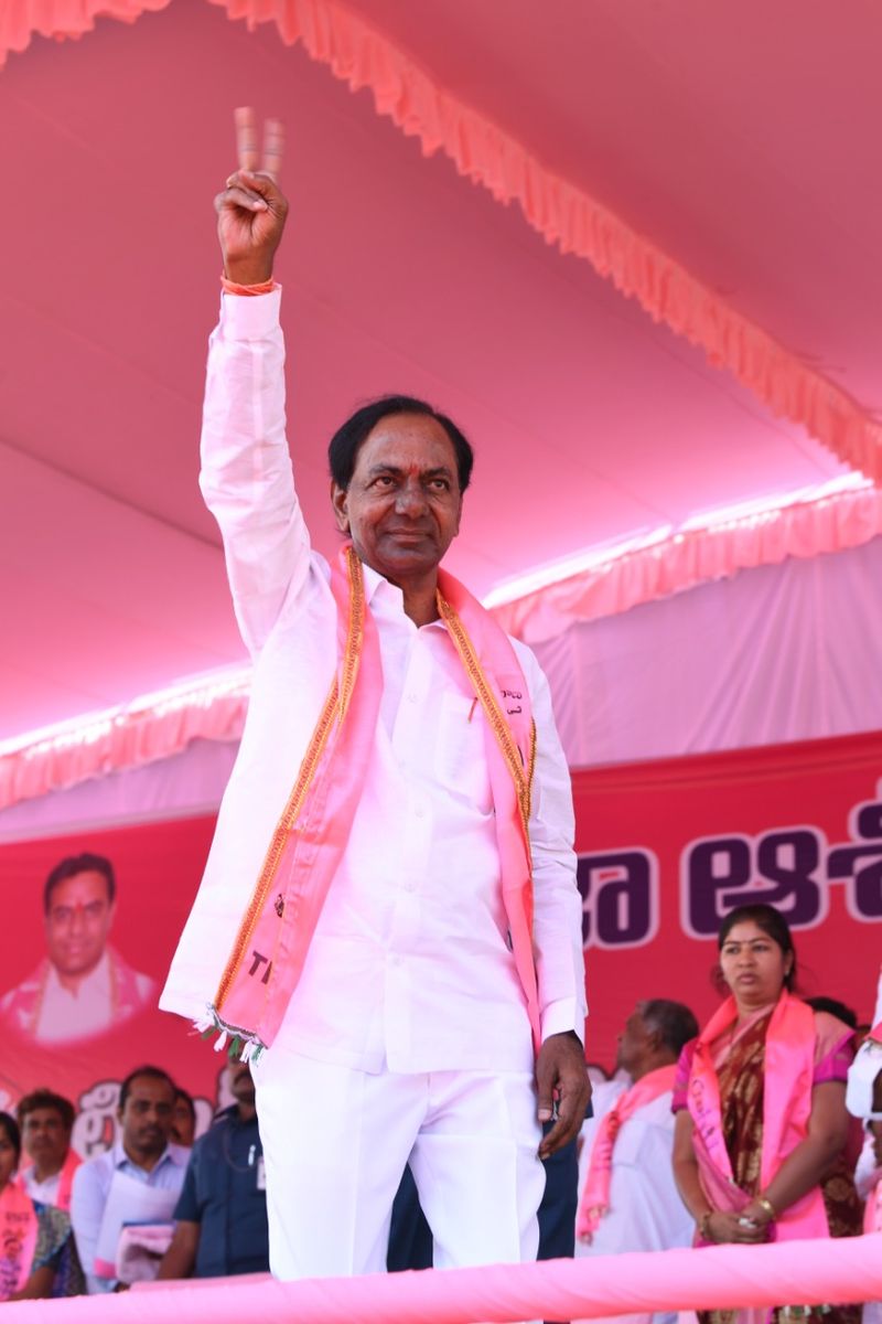 సింహం సింగిల్ గానే... (ఫొటోలు)