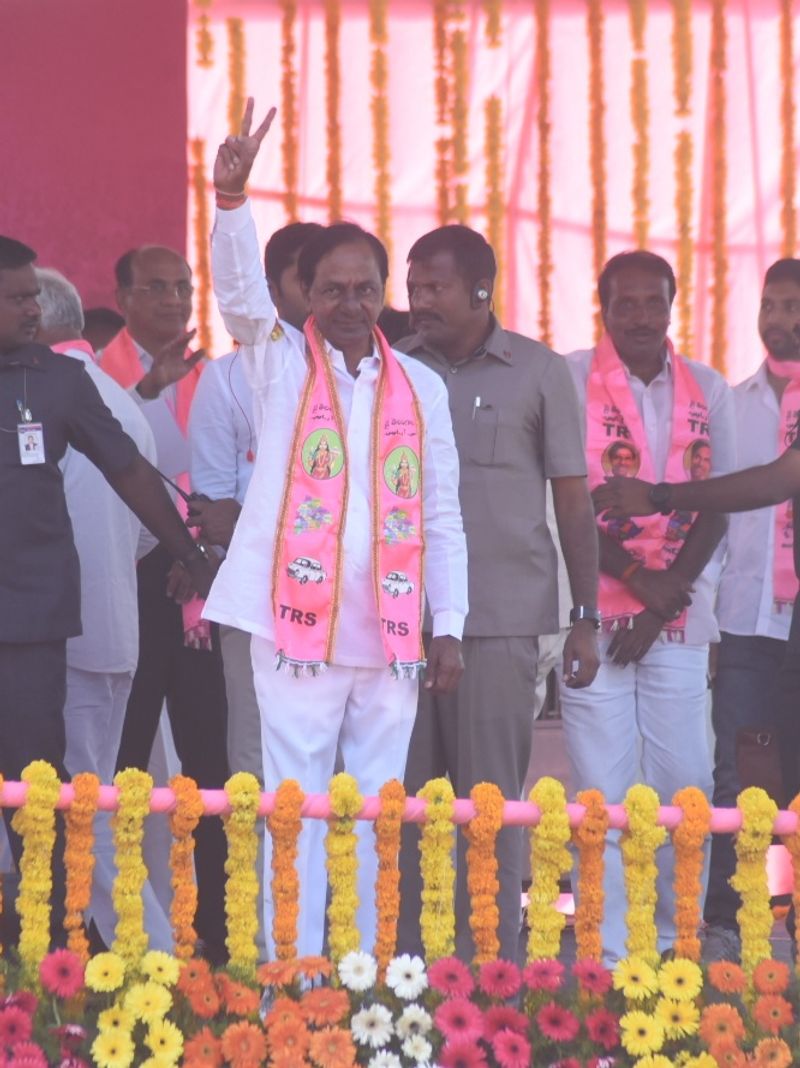 సింహం సింగిల్ గానే... (ఫొటోలు)