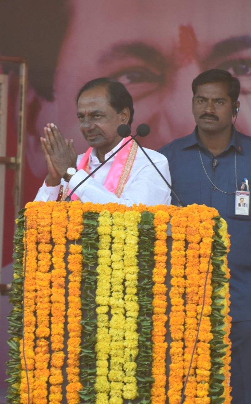 సింహం సింగిల్ గానే... (ఫొటోలు)