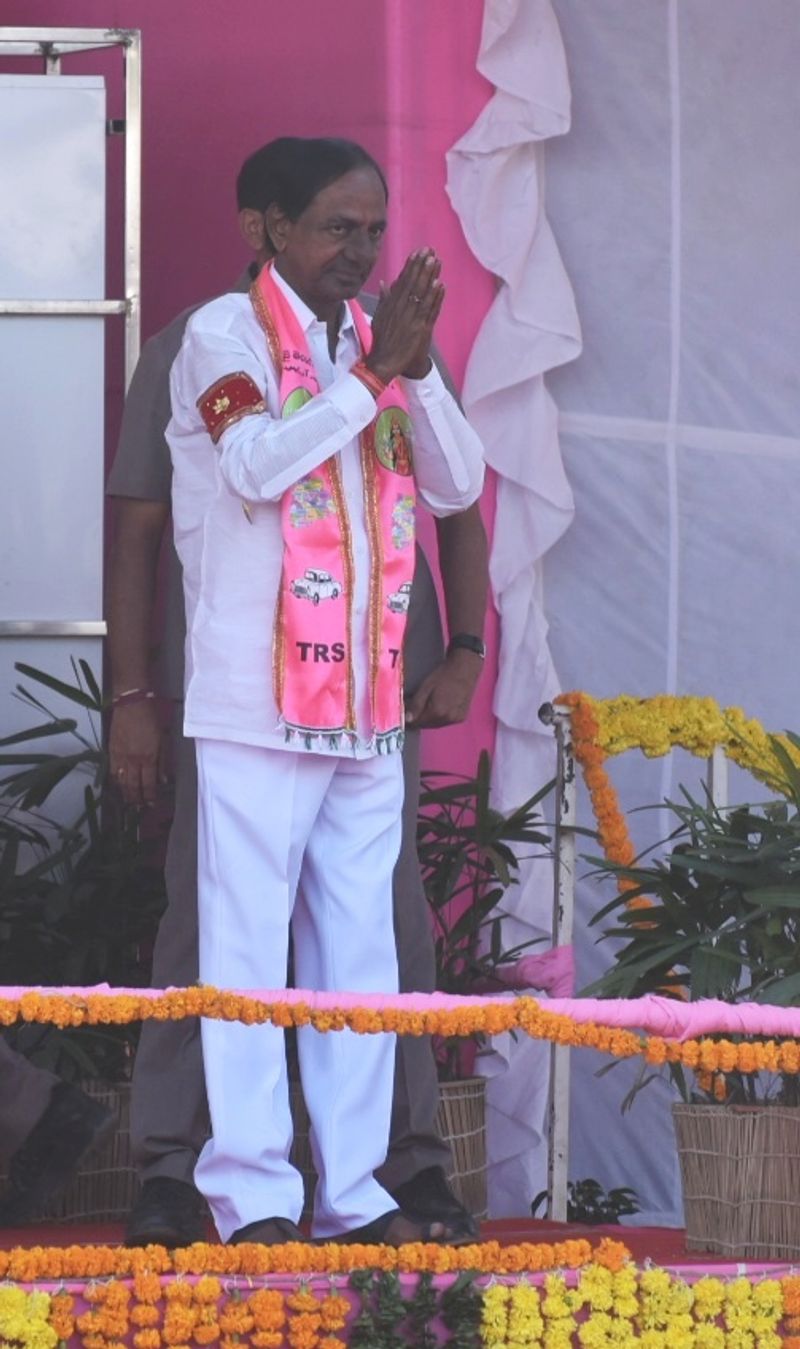 సింహం సింగిల్ గానే... (ఫొటోలు)