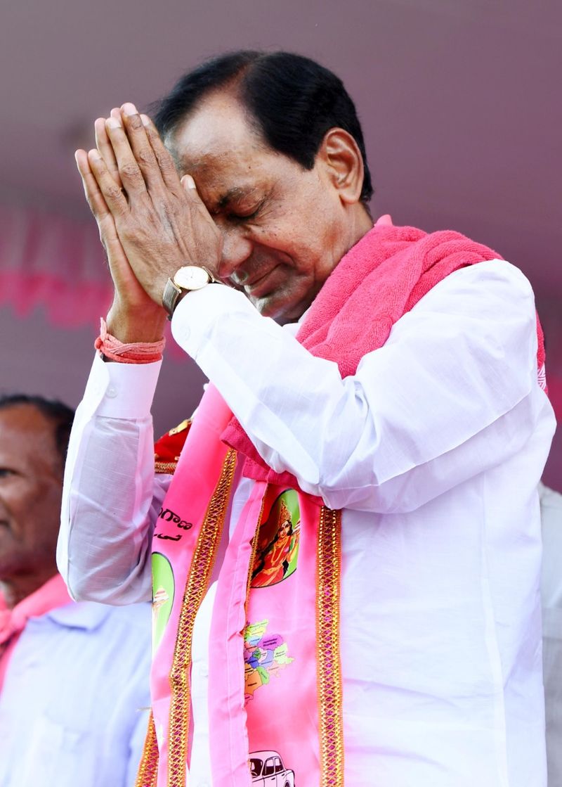 సింహం సింగిల్ గానే... (ఫొటోలు)