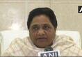 bsp chief mayawati announces support to-congress in madhya pradesh-rajstahn