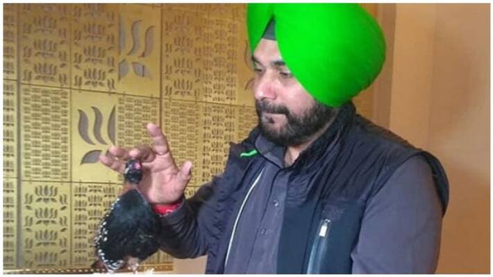sidhu troble in gifted pakistan bird for panjab chief minster sidhu troble in gifted pakistan bird for panjab chief minster
