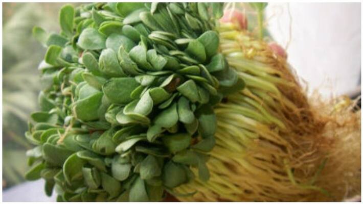 venthaya keerai is better for health venthaya keerai is better for health