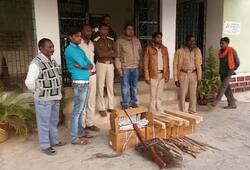 Poachers gang busted in Panna MP