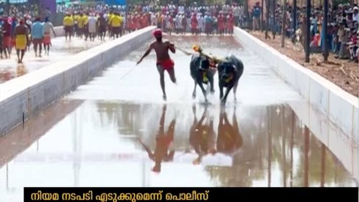 In the Kampala buffalo race karnataka men create record In the Kampala buffalo race karnataka men create record