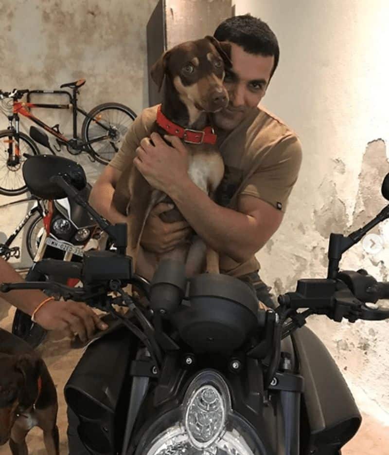 John Abraham has supported various animal welfare programmers. In 2010, he participated in a campaign organised by PETA to free caged birds. In 2014, he adopted a stray dog and named her Bailey.