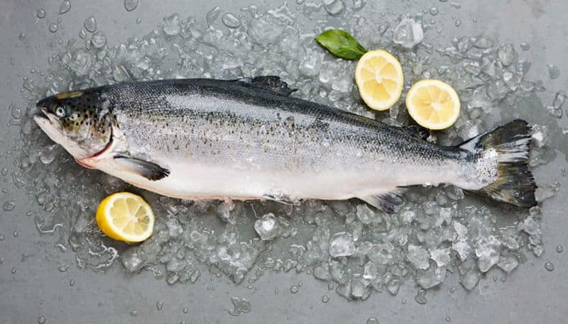 Incredible benefits Salmon fish you not known