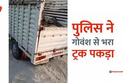 Police arrested a cow being taken from the truck in Ballia