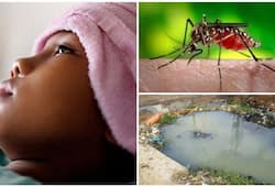 National Dengue Day Here are some tips prevent dengue viral infection