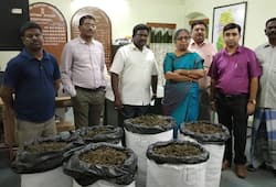 181 kg of cannabis set to be smuggled to Sri Lanka; confiscated in Thoothukudi