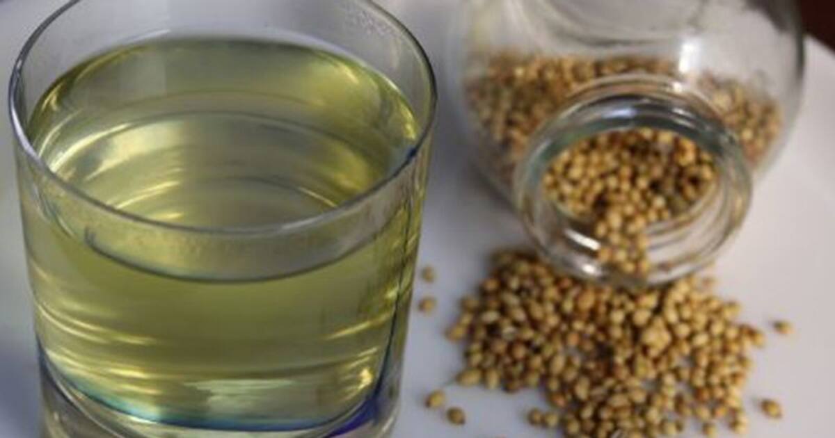 Soaked Coriander Seeds கொத்தமல்லி விதைகளை ஊற வைத்த தண்ணீரை குடிச்சா