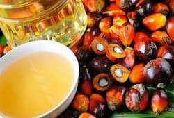 Government can ban the import of palm oil from Malaysia