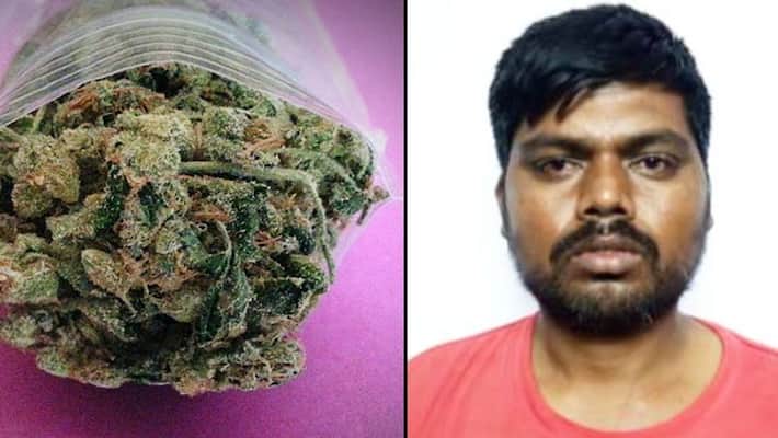 Ganja worth Rs 1.5 lakh seized Kanakapura road CCB Bengaluru Ganja worth Rs 1.5 lakh seized Kanakapura road CCB Bengaluru