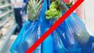 International Plastic Carry Bag Free Day celebrate on 3 July to raise awareness about single use plastics BDD