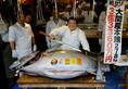 Tuna fish auctioned in 21.5 crore