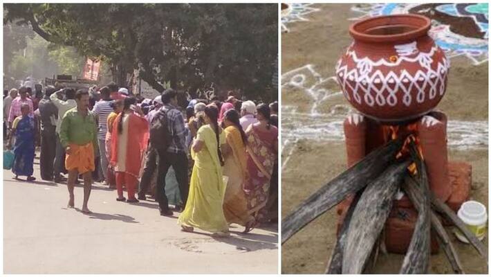 Pongal bans prohibition: HC disagrees to accept AIADMK appeal Pongal bans prohibition: HC disagrees to accept AIADMK appeal