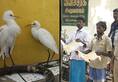 Tamil Nadu forest officials arrest four bird hunters, impose Rs 20,000 fine