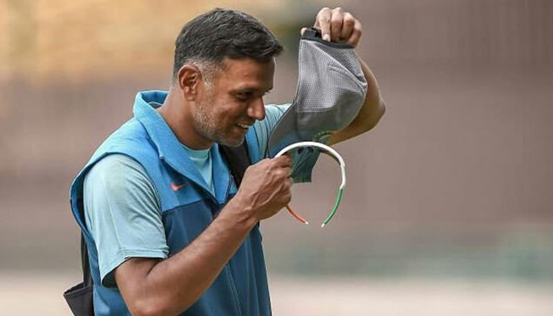 Former Cricketer Rahul Dravid Set to replace Ravi Shastri as Team India Coach Says Report kvn