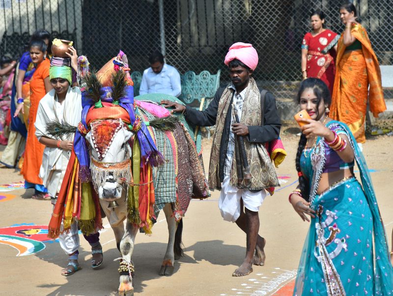 Sankranthi Sambaralu at Narayanguda Jahnavi College