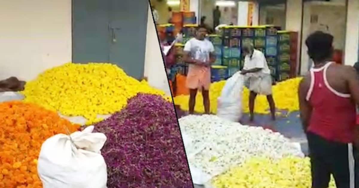 Pongal Jasmine flowers sell for Rs 3,500 per kilo in Erode, Tamil Nadu