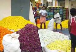 Pongal  Jasmine price Rs 3,500 per kilo in Erode Tamil Nadu